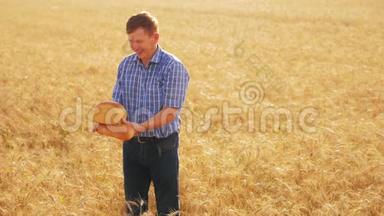 老农夫面包师拿着一个金色的面包和面包在成熟的麦田。 慢动作视频。 收获时间。 老面包师